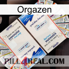 Orgazen kamagra1